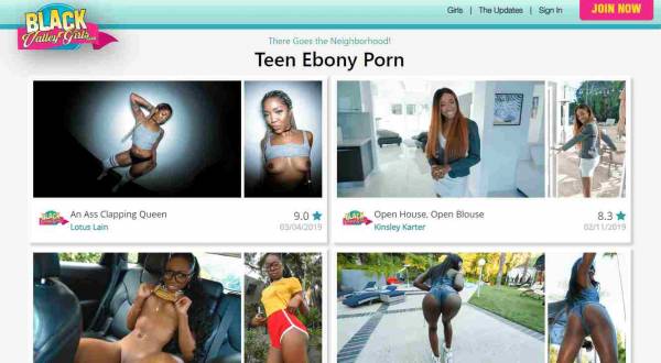 Black Porn Web - 22+ Best Black Porn Sites - Free Ebony porn sites | The Porn Guy!